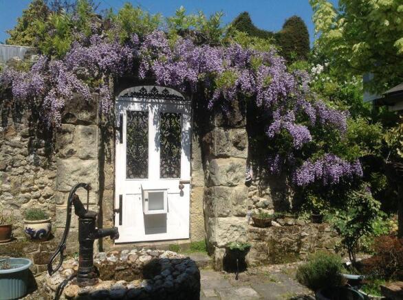 Wisteria