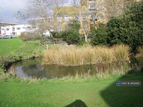 Small Lake Nearby