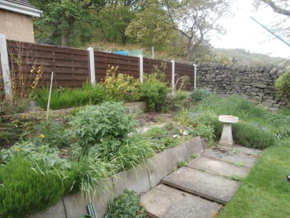 Image 15