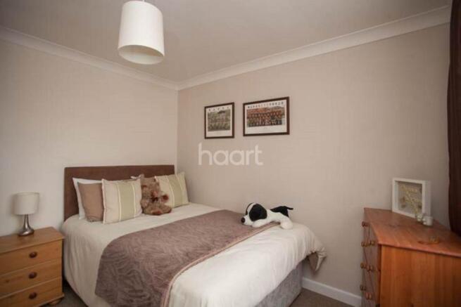 Photo 9