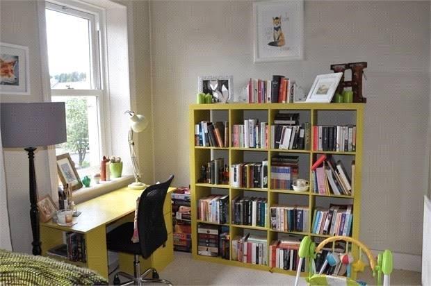 Study Area