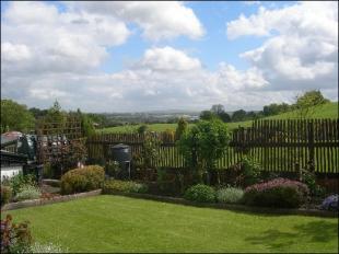 Open views