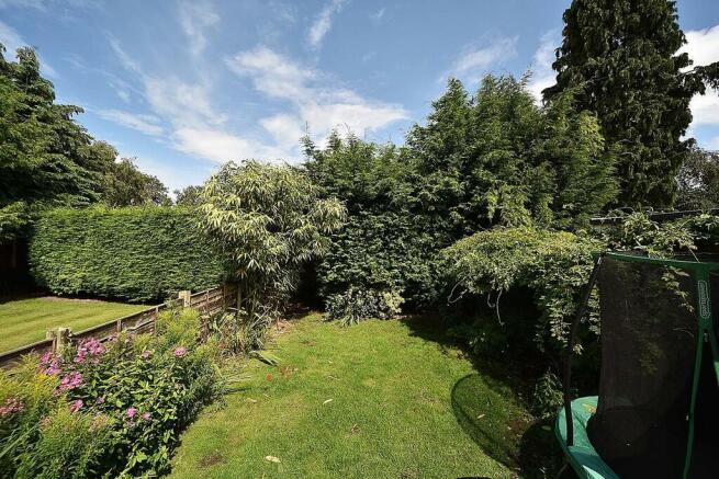 Back Garden 2