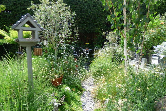 Photo 20