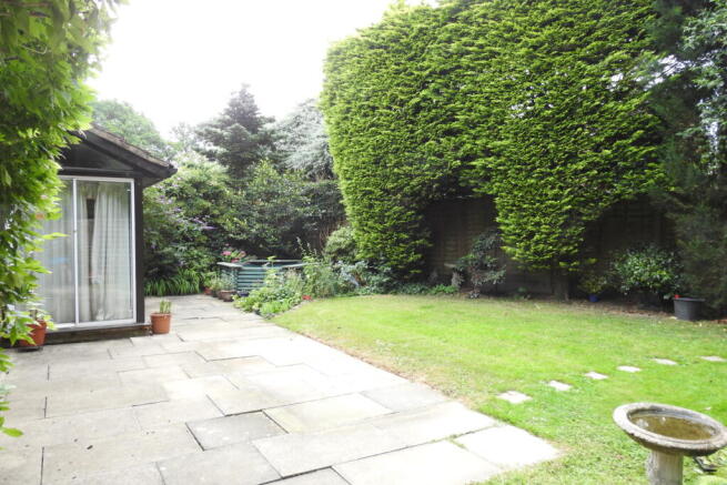 Photo 15