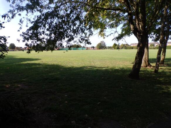 Park