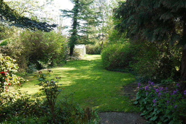Photo 9