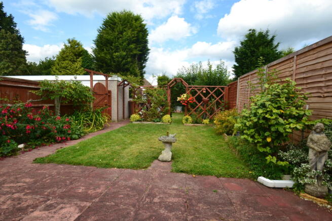 Photo 11