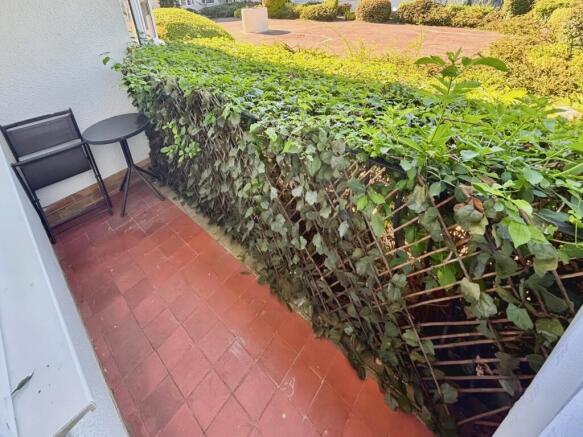 Patio Area