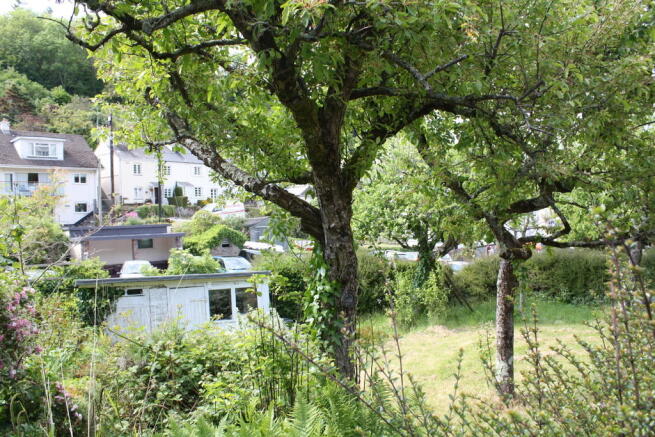 The Orchard