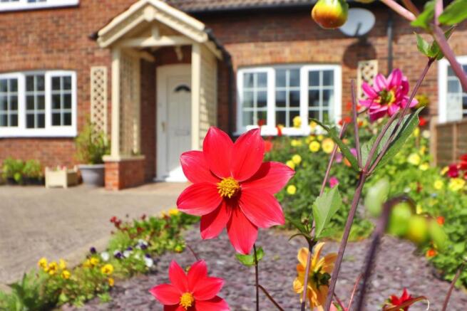 Front Porch Cameo 3.jpg