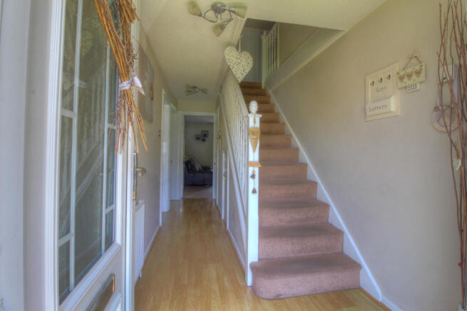IMG_9201_2_3