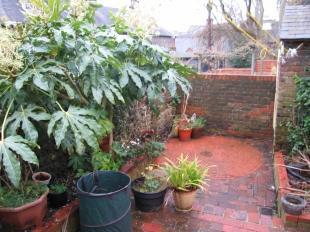 Rear Garden (2)