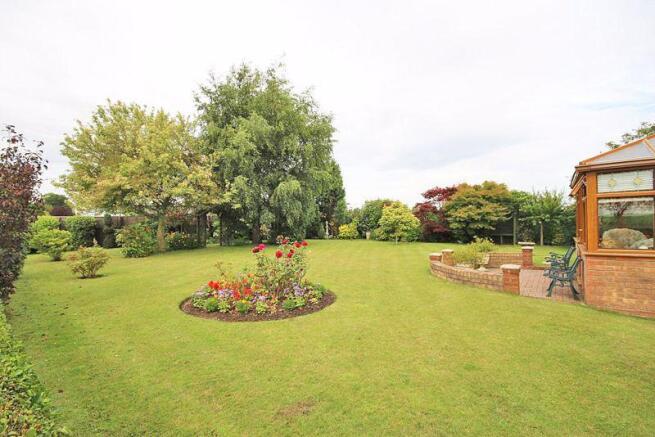 Garden area