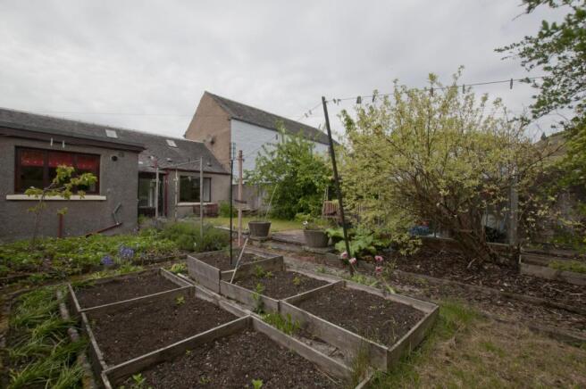 Rear garden (2)