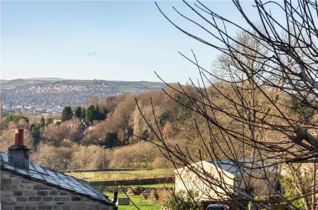 View From Window