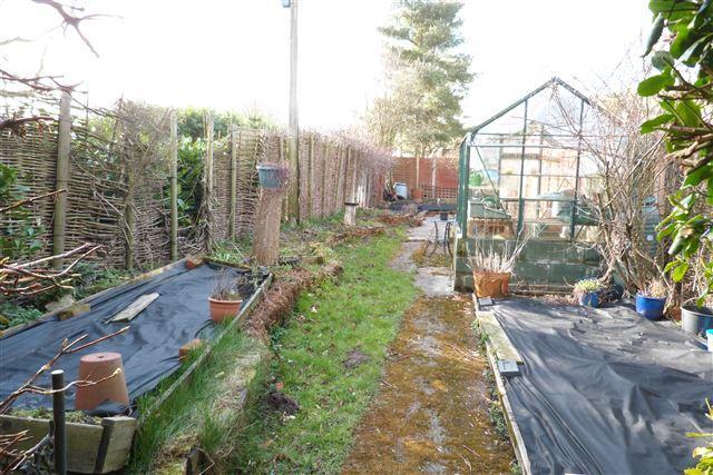 garden..