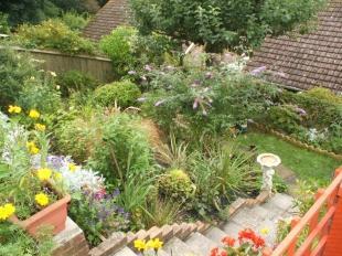 Rear Garden View 3