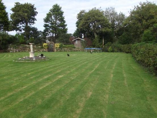 Front Garden