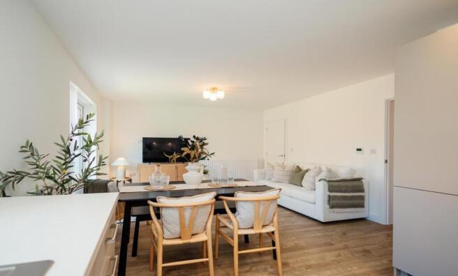 Dandara - The Orchard - The Willow, Home 92