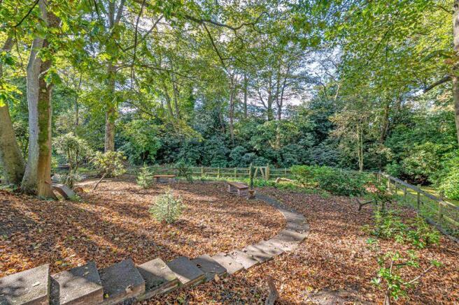 Woodland