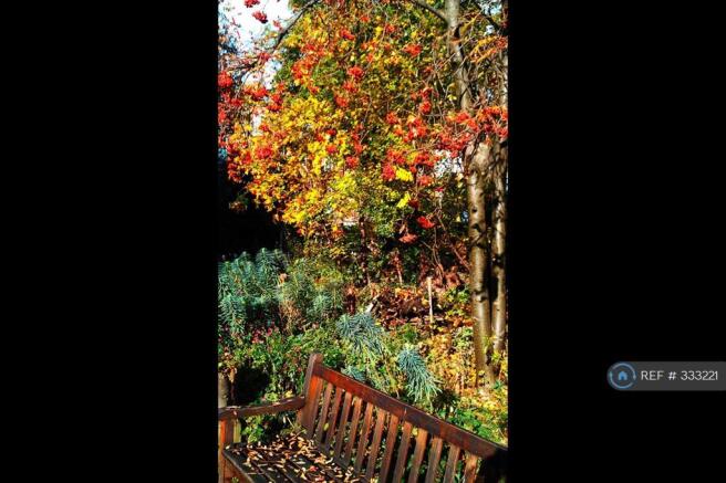 3min To "Secret" Phoenix Gardens