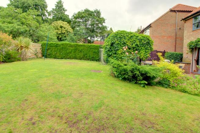 Rear Garden 2