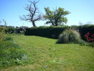 Side Garden