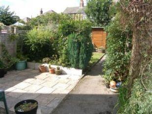 Garden 2