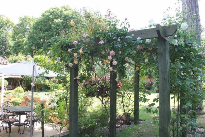 Photo 25