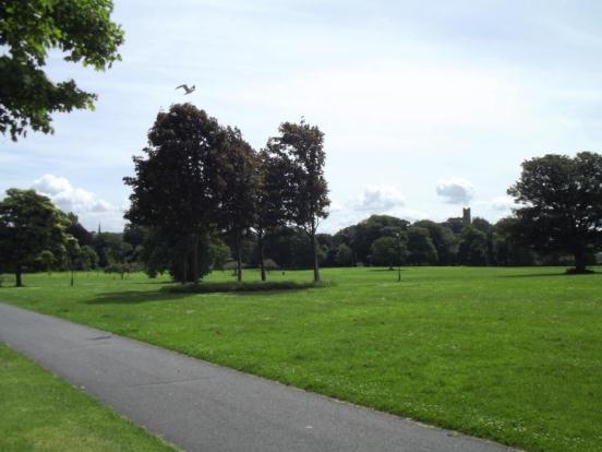 Ryelands Park