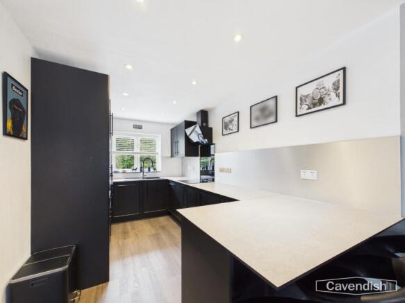 Kitchen / Living Area