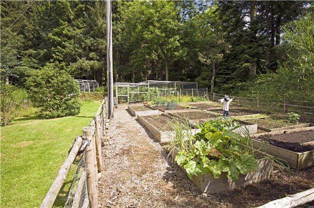 Vegetable Plot