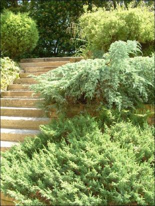 Steps To Apartment