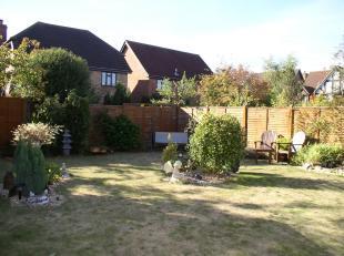 Rear garden.
