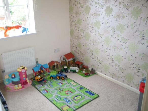 11 waterlily close-b