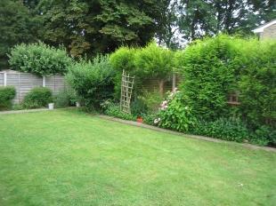 Garden Shot1
