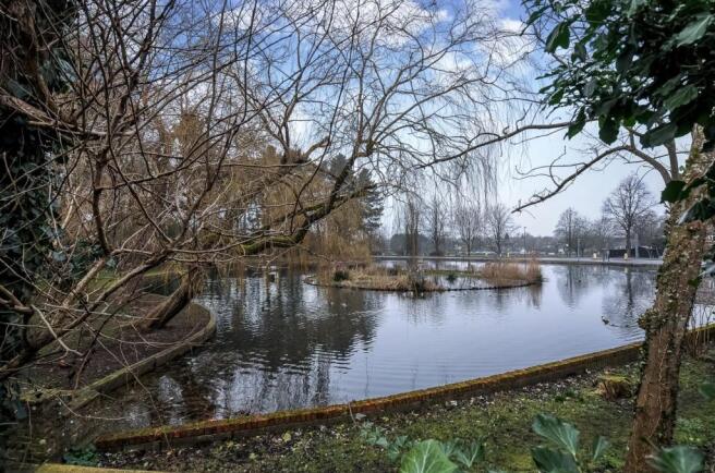 Duck Pond