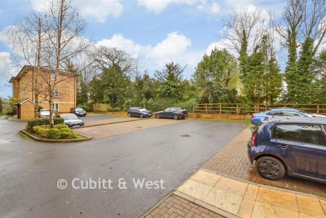 Driveway/Parking
