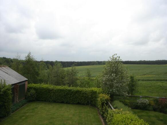 Image 15