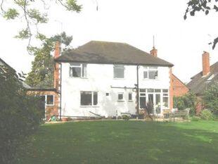 Rear View