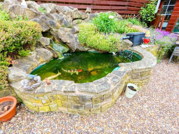 Pond