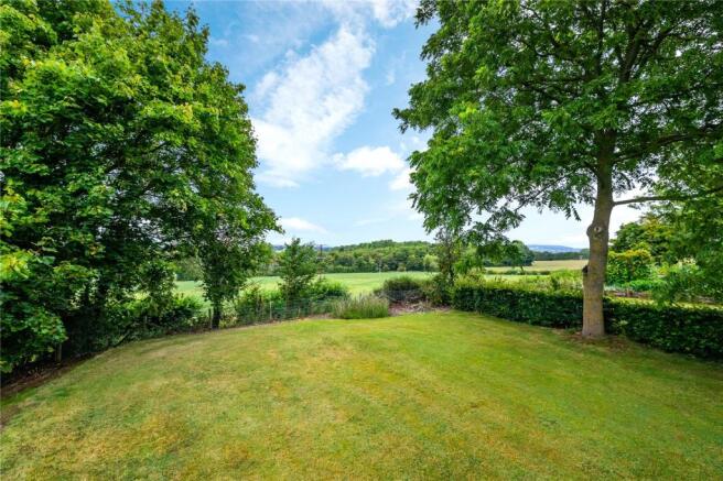 View From Garden