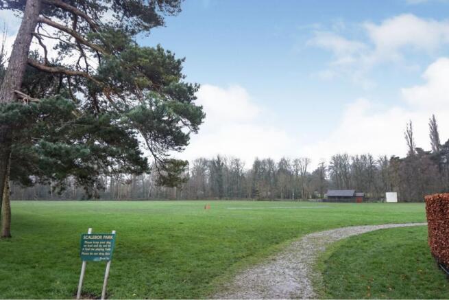 Nearby Park