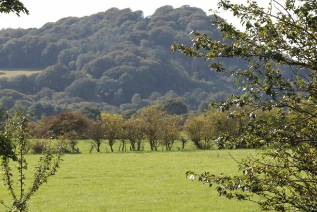 Hoghton Hill View