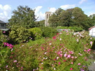 Photo 12