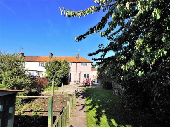 Rear Garden (3).JPG