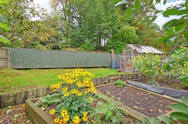 Part of Garden