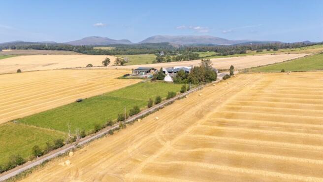 Lot 1 - Wester Moy