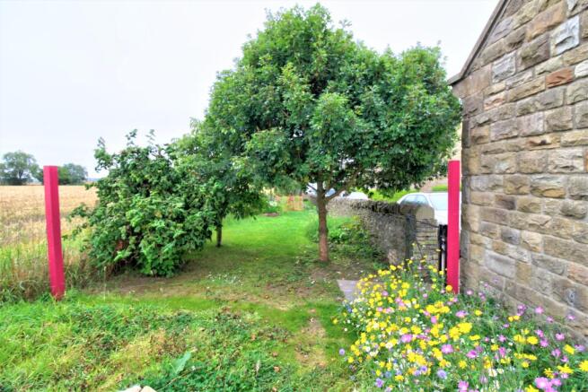 Meadow Garden